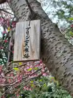 櫻木神社の{uncategorized: "未分類", other: "その他", undefined: "問題あり", building: "その他建物", grave: "お墓", sacred_gate: "鳥居", guardian: "狛犬", statue: "像", buddha: "仏像", history: "歴史", nature: "自然", garden: "庭園", animal: "動物", pagoda: "塔", temizu: "手水舎", mountain_gate: "山門・神門", sanctuary: "本殿・本堂", subordinate: "末社・摂社", art: "芸術", scenery: "景色", jizo: "地蔵", ema: "絵馬", goshuin: "御朱印", omikuji: "おみくじ", items: "授与品その他", amulet: "お守り", goshuincho: "御朱印帳", eats: "食事", festival: "お祭り", votive_dance: "神楽", shichigosan: "七五三参", wedding: "結婚式", experience: "体験その他", initially: "初詣", around: "周辺", anti_infection: "感染症対策"}