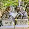 渋谷氷川神社の狛犬