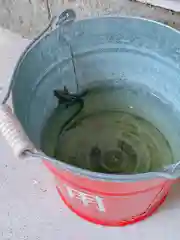 川田八幡神社の動物