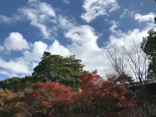 鎌倉宮の景色