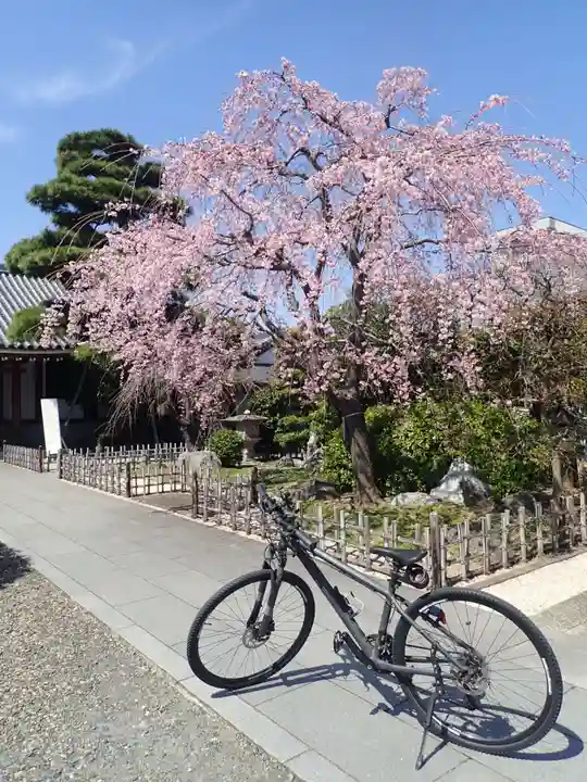東京羽田 穴守稲荷神社の御朱印