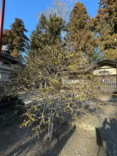 芳賀天満宮(栃木県)