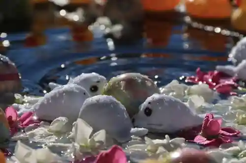 阿邪訶根神社の手水舎