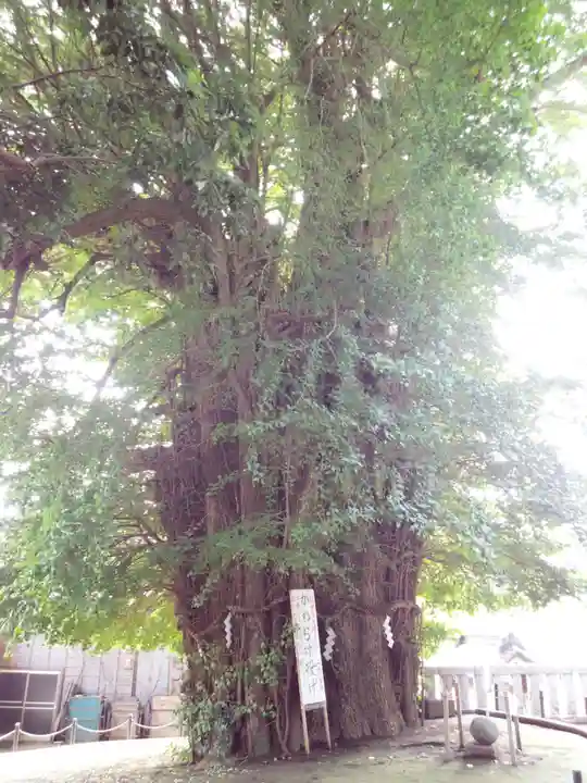 鶴嶺八幡宮のその他建物