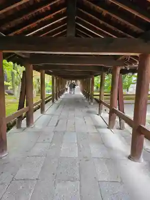 東福禅寺(東福寺)(京都府)
