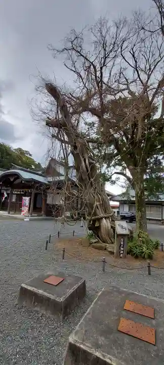 伊古奈比咩命神社の自然