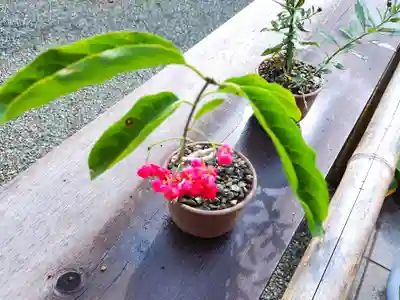 妙蓮寺(神奈川県)