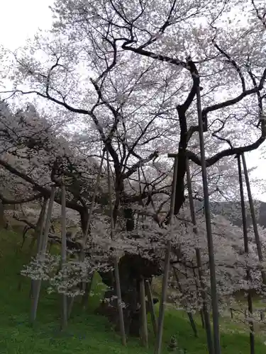 大幢寺(岐阜県)