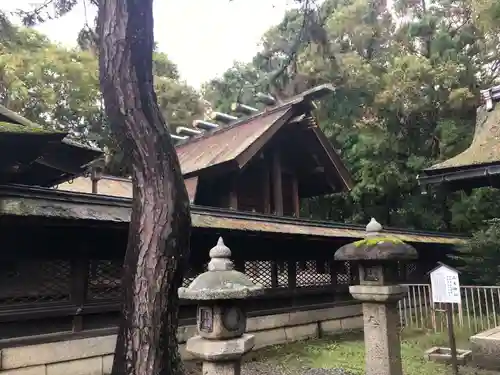長浜八幡宮の本殿・本堂