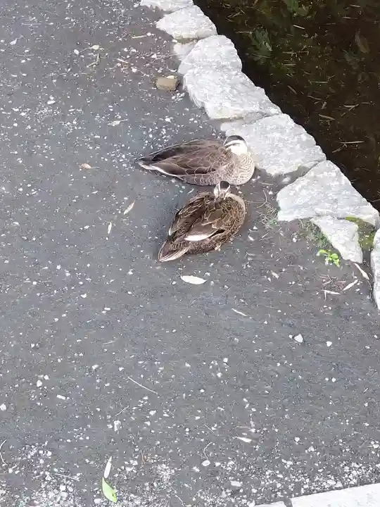 武蔵国分寺(東京都)