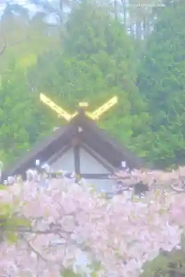 夫婦木神社(山梨県)