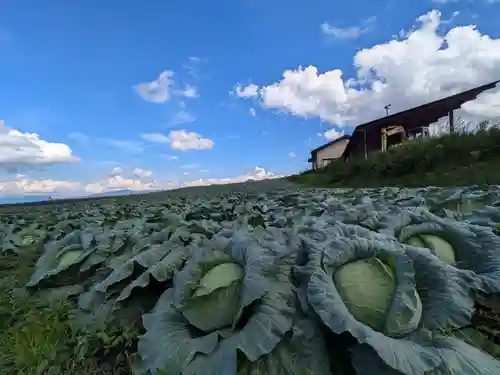 寛永寺別院浅間山観音堂の自然