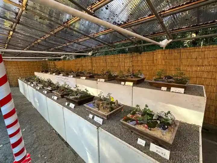 明治神宮(東京都)