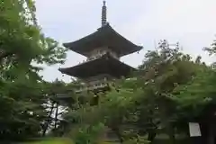 国分寺の建物その他