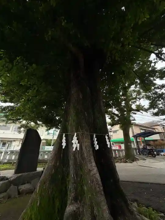 滝野川八幡神社(東京都)