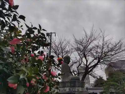 護国寺(東京都)