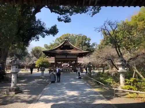 平野神社(京都府)