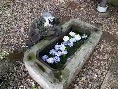 仙波東照宮の手水