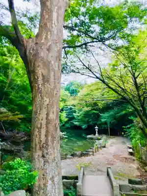 金蔵寺のその他建物