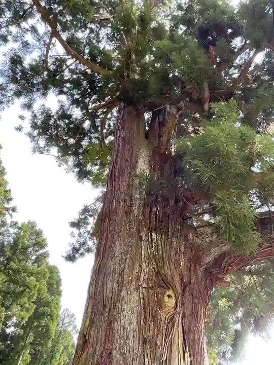熊野神社(岐阜県)