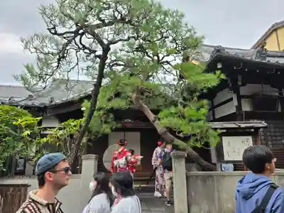 寶徳寺(宝徳寺)(京都府)