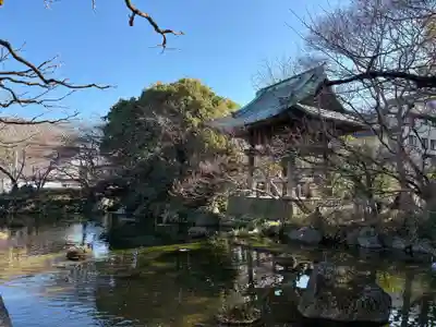 西新井大師総持寺(東京都)