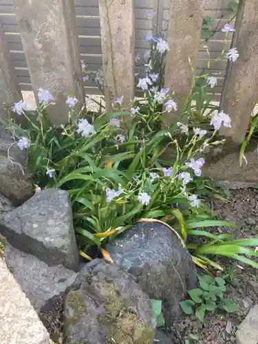 英稲荷神社(東京都)