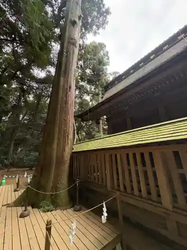 鹿島神宮(茨城県)