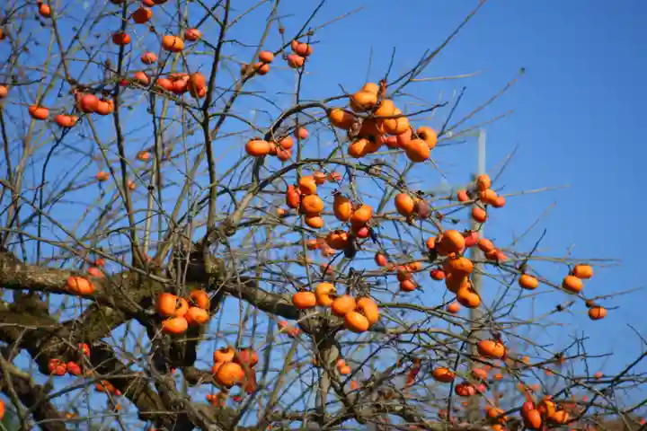 石上神宮(奈良県)