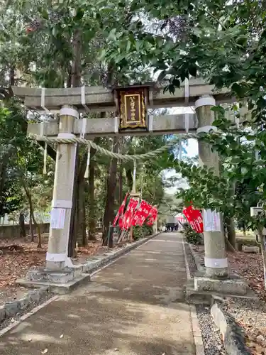 天穂日命神社の鳥居