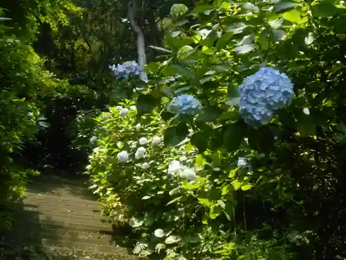 岩殿寺(神奈川県)