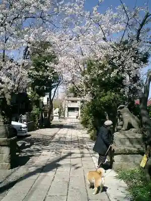 五所神社のその他建物
