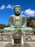 高徳院(神奈川県)