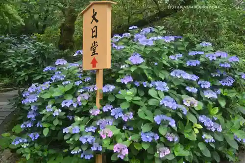 高幡不動尊　金剛寺(東京都)