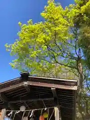 伊達神社の建物その他