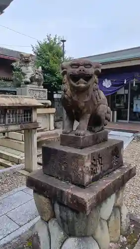 本土神社の狛犬