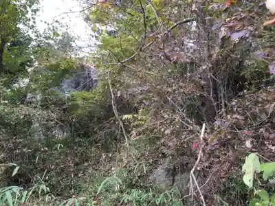 大石神社の自然