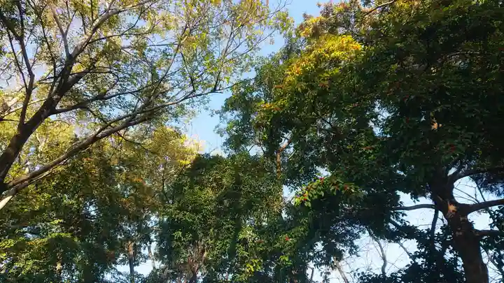 神明社(国府宮神明社)の自然
