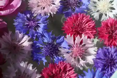 開成山大神宮の手水舎