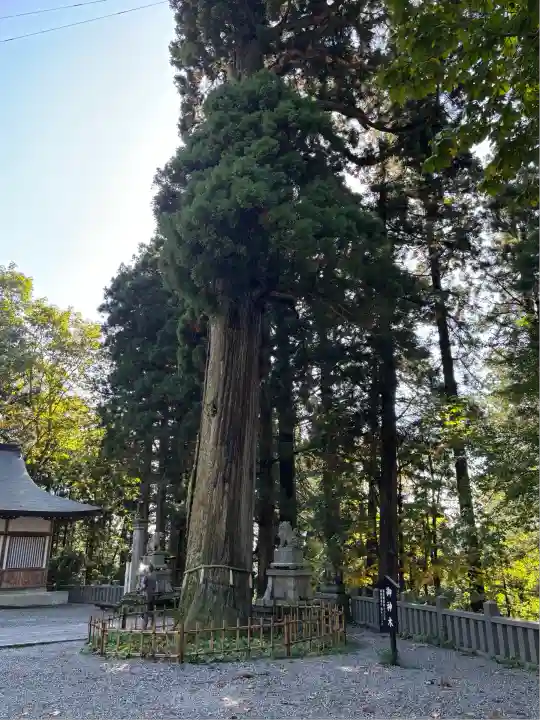 戸隠神社中社(長野県)