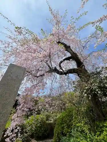 石光寺(奈良県)