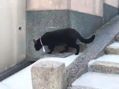 石峯寺(京都府)