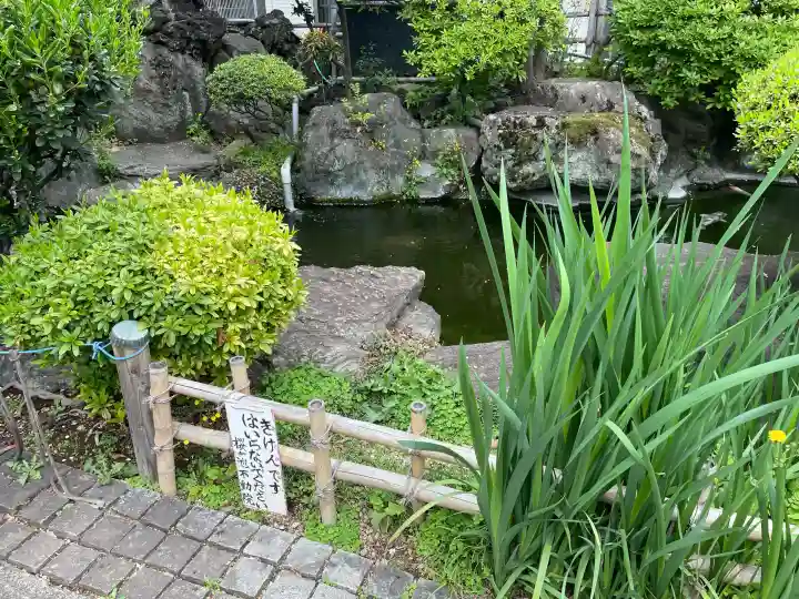 東光寺別院桜ヶ池不動院の{uncategorized: "未分類", other: "その他", undefined: "問題あり", building: "その他建物", grave: "お墓", sacred_gate: "鳥居", guardian: "狛犬", statue: "像", buddha: "仏像", history: "歴史", nature: "自然", garden: "庭園", animal: "動物", pagoda: "塔", temizu: "手水舎", mountain_gate: "山門・神門", sanctuary: "本殿・本堂", subordinate: "末社・摂社", art: "芸術", scenery: "景色", jizo: "地蔵", ema: "絵馬", goshuin: "御朱印", omikuji: "おみくじ", items: "授与品その他", amulet: "お守り", goshuincho: "御朱印帳", eats: "食事", festival: "お祭り", votive_dance: "神楽", shichigosan: "七五三参", wedding: "結婚式", experience: "体験その他", initially: "初詣", around: "周辺", anti_infection: "感染症対策"}