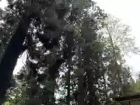 大宮温泉神社(栃木県)