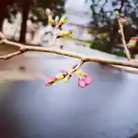 滑川神社 - 仕事と子どもの守り神の自然