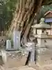 雨引千勝神社の手水舎