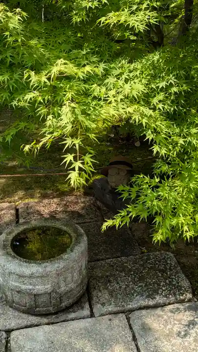 勝林寺(京都府)