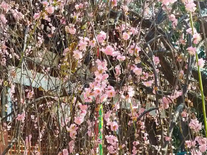 屯倉神社(大阪府)