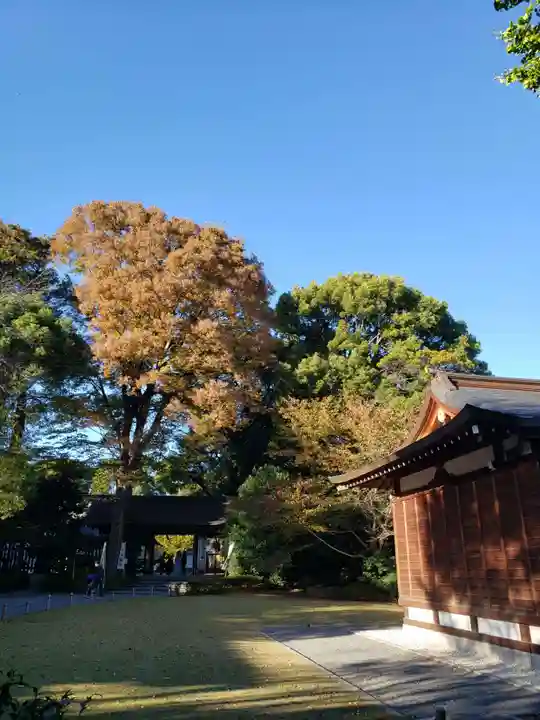 阿佐ヶ谷神明宮(東京都)
