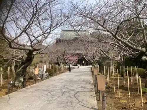 建長寺(神奈川県)